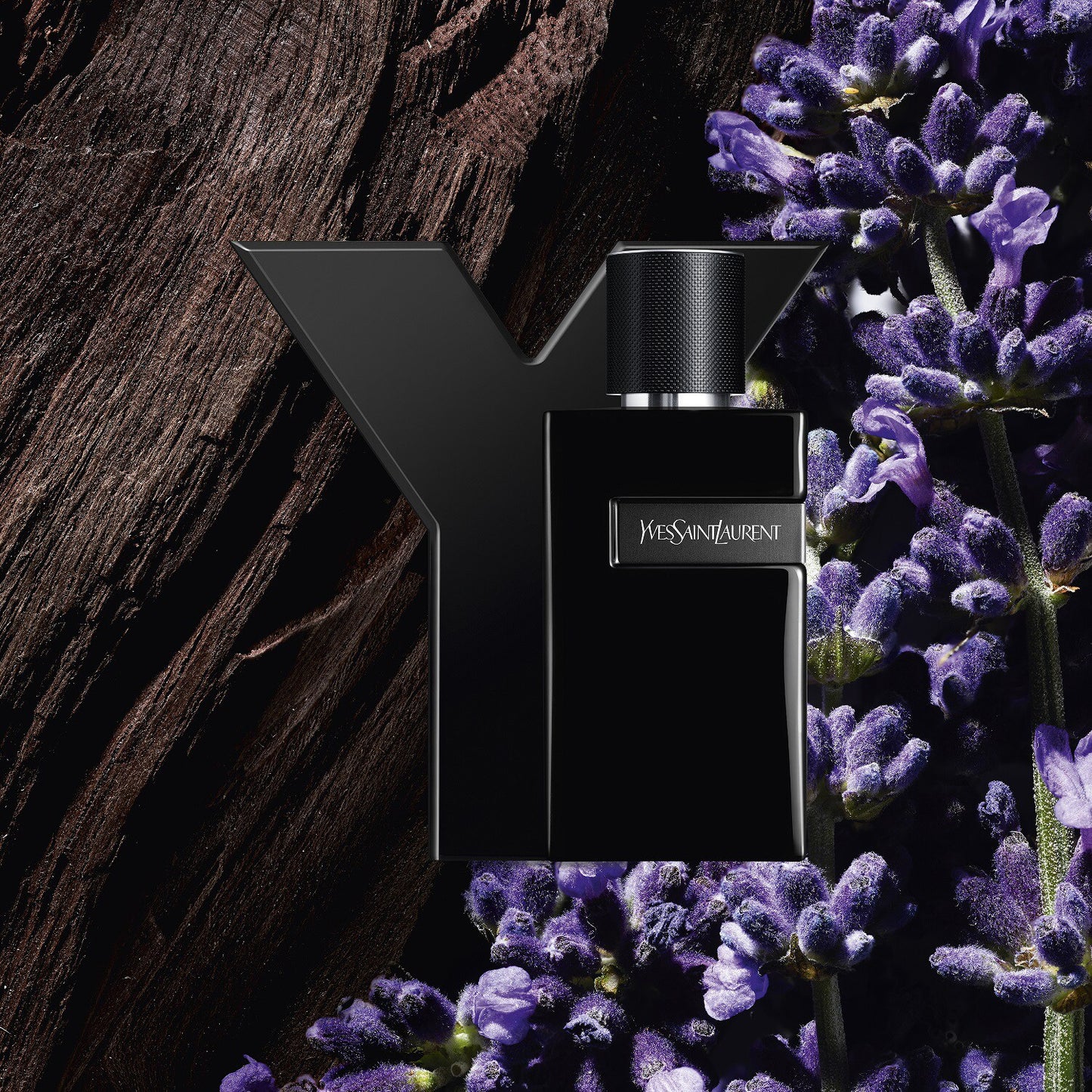 YVES SAINT LAURENT Y LE PARFUM